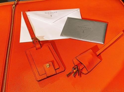 トロリー 4ホイール スピナー エボリューションのキャリーバッグ