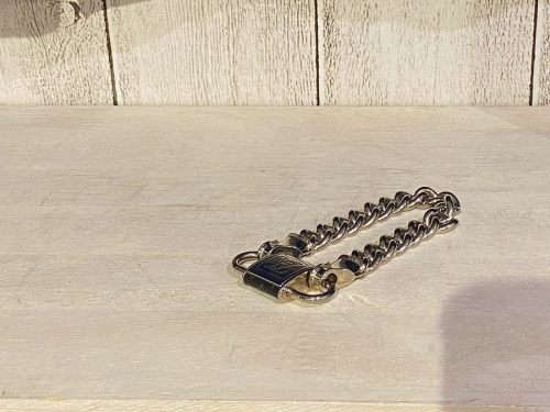 ラグジュアリーブランドのLOUIS VUITTON 　