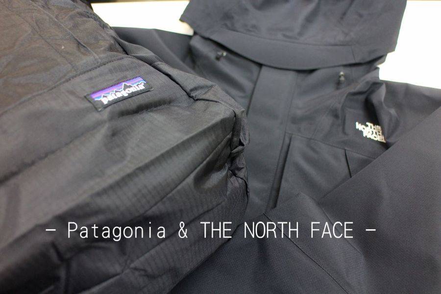 the north face or patagonia