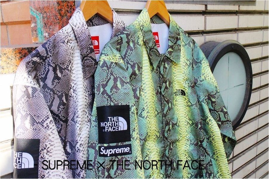 supreme the north face スネーク コーチジャケット