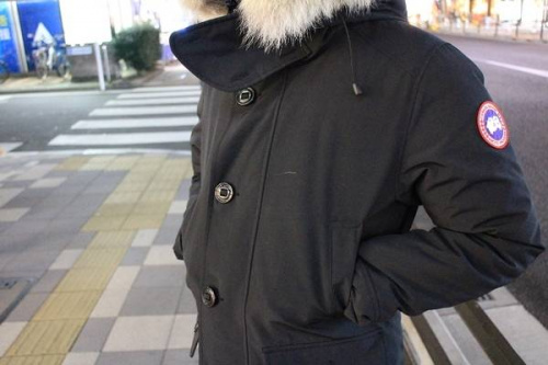 カナダグースのジャスパー