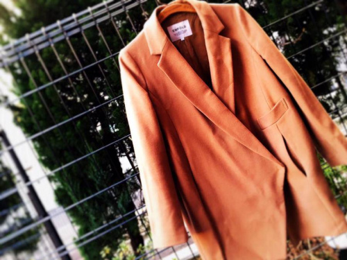 レディースのトップス