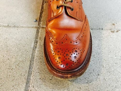 17年01月31日：画像６