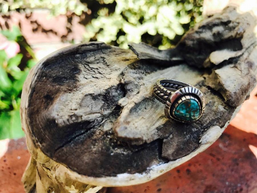 17年02月26日：画像６