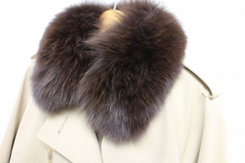 Aquascutum