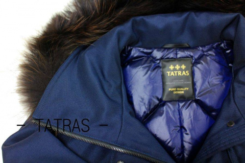 レディースのトップス