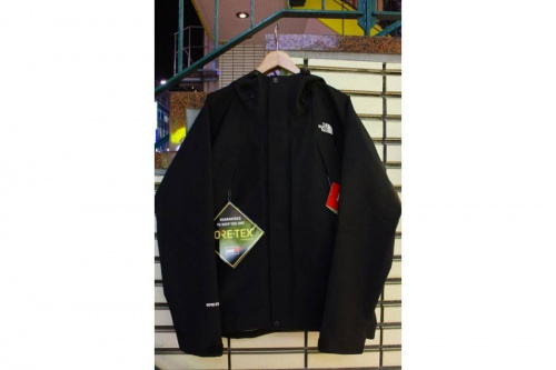 トップスのTHE NORTH FACE