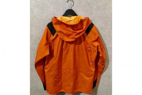 マウンテンパーカーのオンライン掲載中