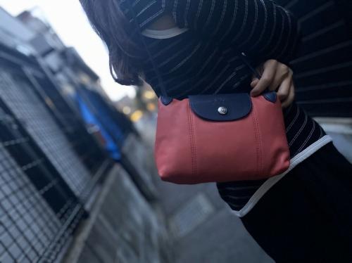 ロンシャンのル・プリアージュ ネオ