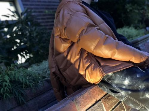 ア・ベイシング・エイプのレザークラシックダウンジャケット