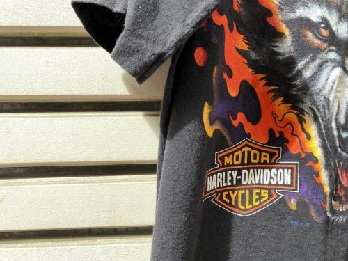 21年04月22日:画像6