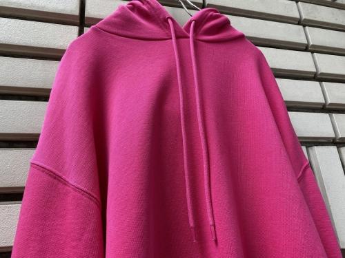 バックロゴプルオーバーパーカーの19AW