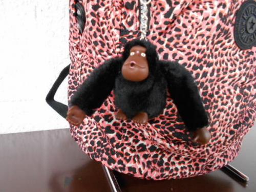 リュックのバックパック