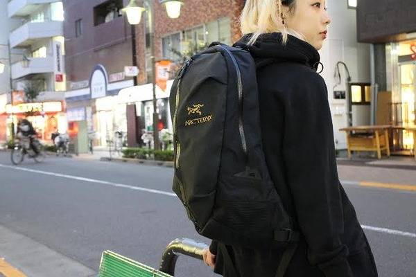 【ARCTERYX】アークテリクス　アロー22