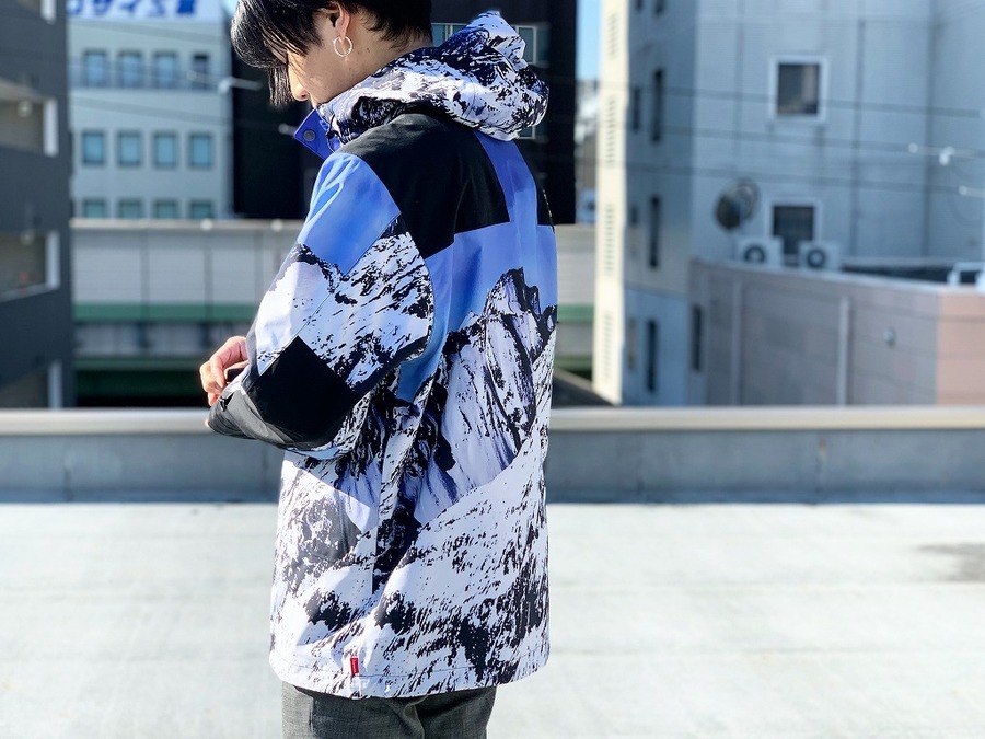 Supreme The North Face 17AW 雪山 マウンテンパーカー-