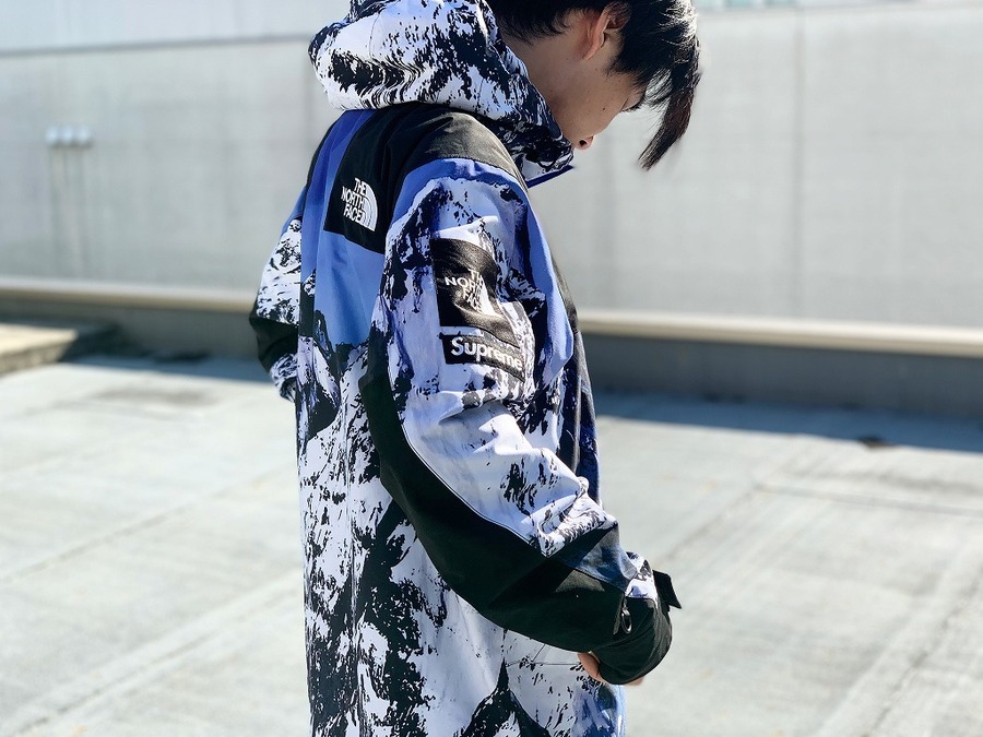 17aw supreme the north face mountain