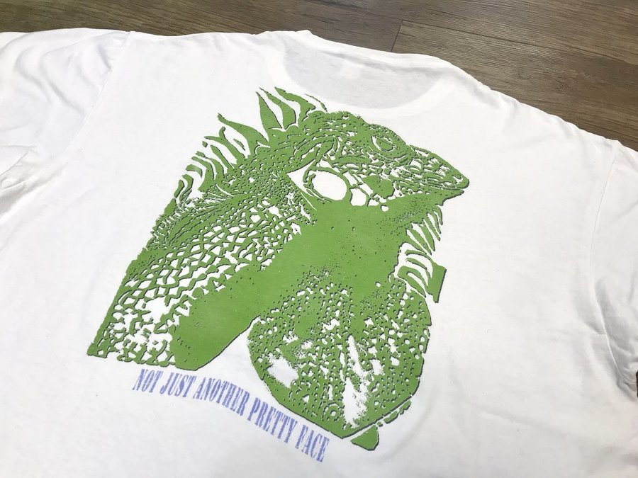 【希少】ヴィンテージ　パタゴニア　Tシャツ