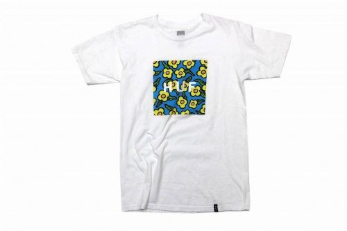 17年05月22日：画像８