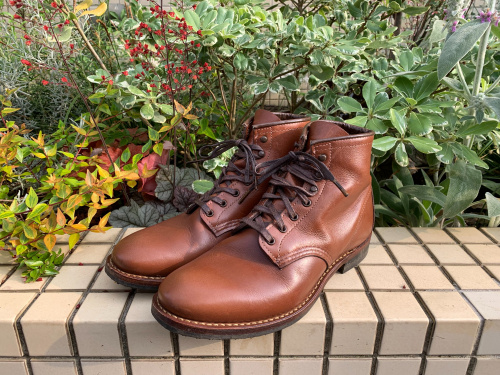 トレファクスタイル船橋店ブログ画像1