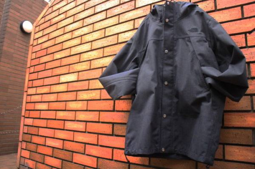 メンズのTHE NORTH FACE