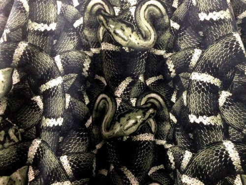 ストリートのららぽーと