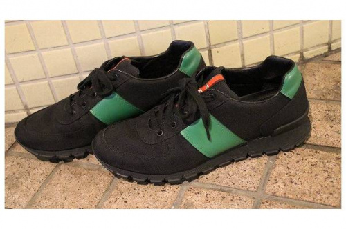 ジャーマントレーナーのPRADA