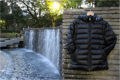 BURBERRYのCRESTBRIDGE