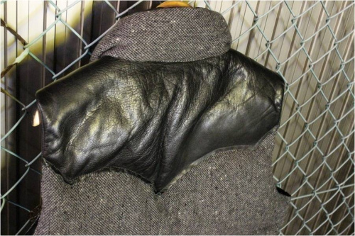 16年10月27日:画像7