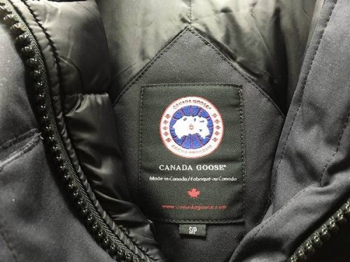 16年11月07日：画像９