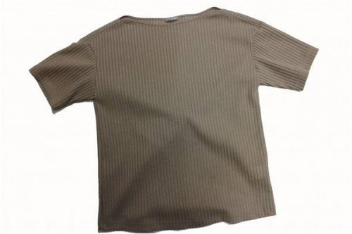 セオリーのキャリア