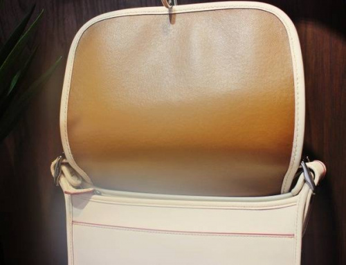 コーチのディズニー