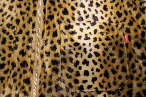 ｼｭﾌﾟﾘｰﾑのｽﾄﾘｰﾄ