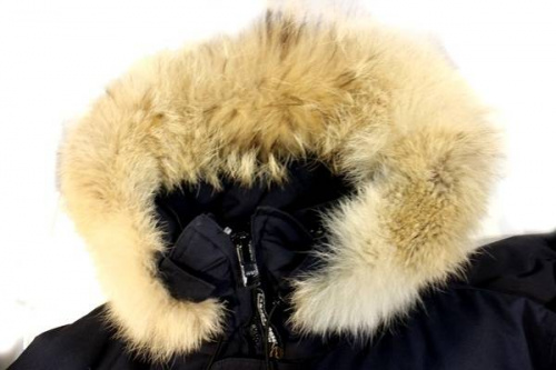 CANADA GOOSEのカナダグース