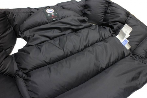 カナダグースの船橋