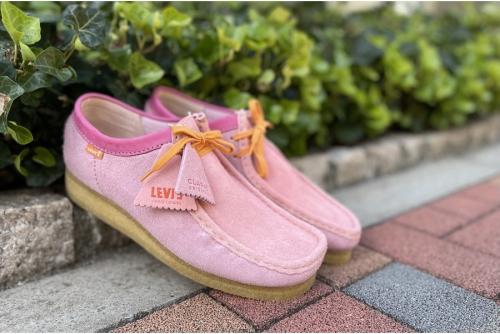 ワラビーのモカシン