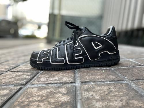 cactus plant flea market