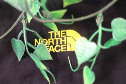 「ノースフェイスのTHE NORTH FACE 」