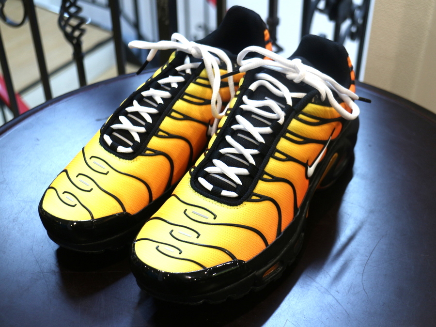 NIKE エアマックス プラス タイガー AIRMAX PLUS マップラ 28