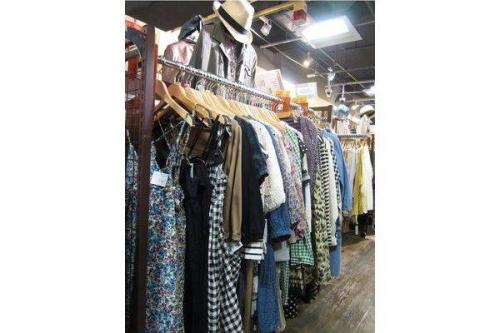 シップスのジャーナルスタンダード