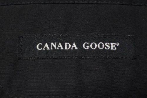 カナダグースの川越