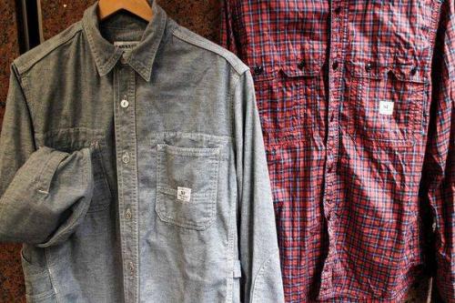 ササフラスのガーデニング