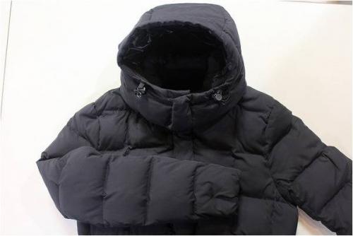 カナダグースのナノユニバース