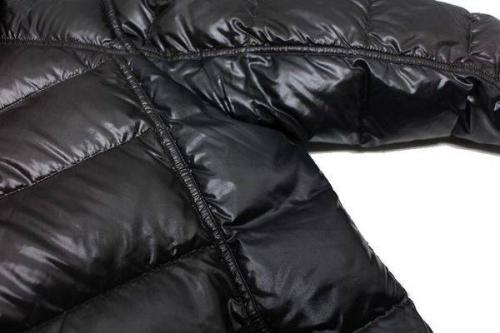 デュベティカのカナダグース