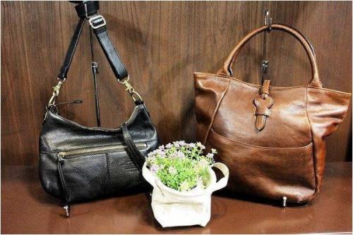 ダコタのゲンテン