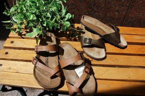 スポーツサンダルのトレンド