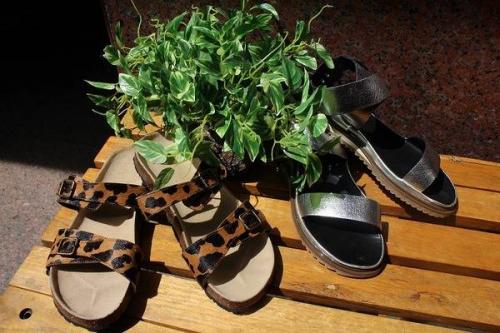 トレンドの買取