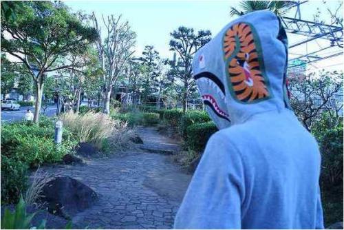 パーカーのシャーク