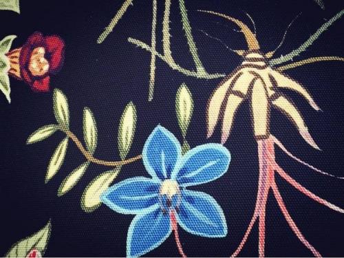 17年04月12日：画像８