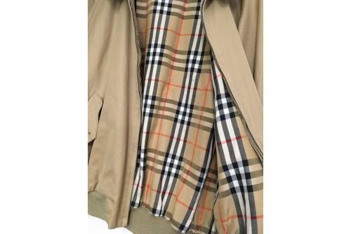 グラミチのケンゾー