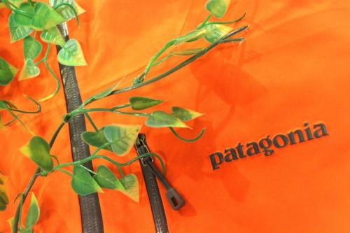 Patagoniaのパタゴニア